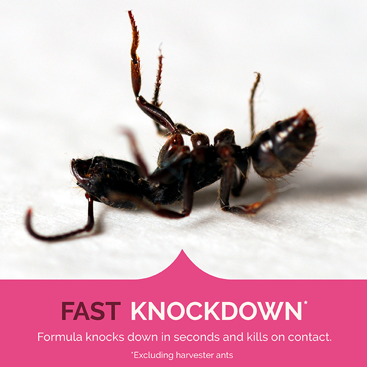 HG-96781 Ant, Roach & Spider Killer Fresh Floral Scent 17.5 oz Fast Knockdown